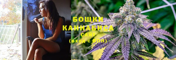 меф Арсеньев