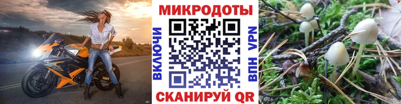 Галлюциногенные грибы Psilocybine cubensis  где купить наркоту  Островной 